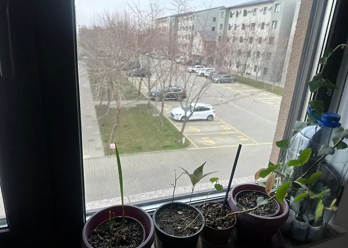 Louisa Κονστάντζα